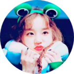 갈매기 profile image