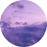 침찌 profile image