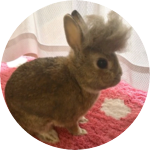 따뜻한아이스이메리카노 profile image