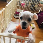 소민이❤️ profile image