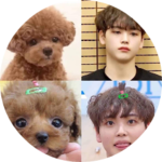 말랑토끼형준이 profile image