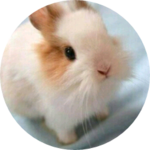 요봄 profile image