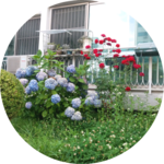 장래희망은동화작가 profile image