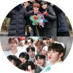 워너원에이티즈영원히 profile image