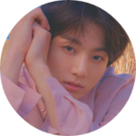 정국살이 profile image