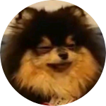 셰링자까님 profile image