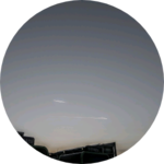 제라늄 profile image
