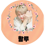 할루 profile image