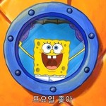 동글단 profile image