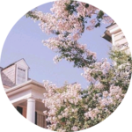 은쨩 profile image