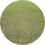 샤과 profile image