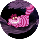 오늘내일 profile image