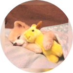 김태태죠타 profile image