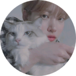 하니영 profile image