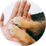 작지만 profile image