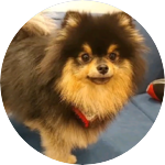 ☆태흉탄탄 profile image