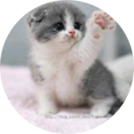 나룬 profile image