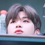 MiniDaniK  profile image
