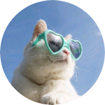 tkdal8080a profile image