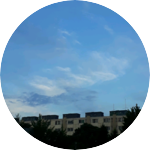 희뚜희뚜's profile image