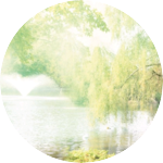 inverdire profile image