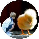 인간요 profile image