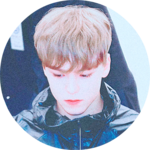 볼빨간당근이징 profile image