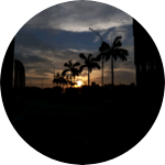 hy수키 profile image