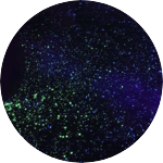 태형이네망개떡집 profile image