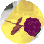 ☆솔저시윤 profile image