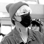 녹고있는 설탕씌 profile image