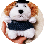 개토라이 profile image