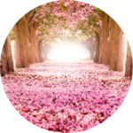 쀼닛 profile image