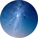 00000000000900008979 profile image