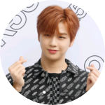 이전에없던사람다녤 profile image