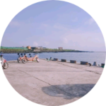 제주도 profile image