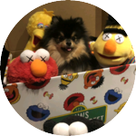 아미국 profile image