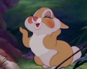 다람쥐ㅣㅣ profile image