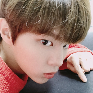 짤랑단단장김우석 profile image