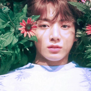 Marigold메리골드 profile image