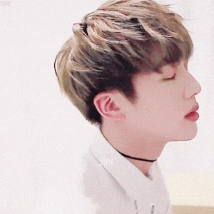 계란담요 profile image