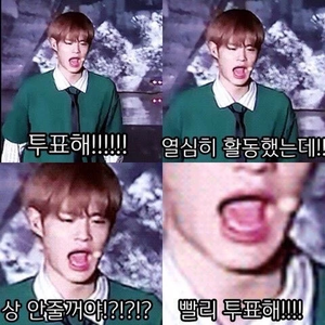 야이야 profile image