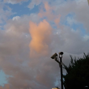 녤룜 profile image