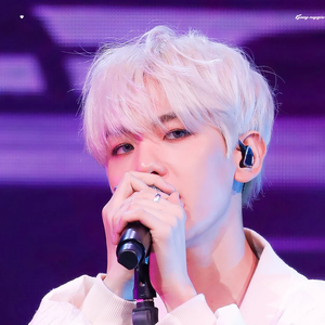오폴트 profile image