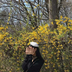 하뷔 profile image