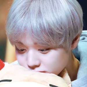 xxbb529 profile image