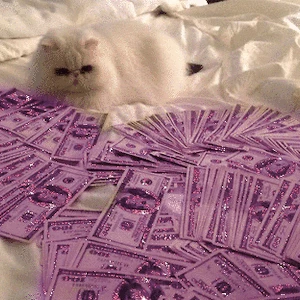 제리 profile image