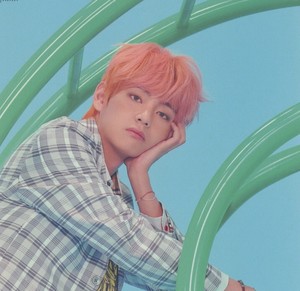 배배뷔뷔 profile image