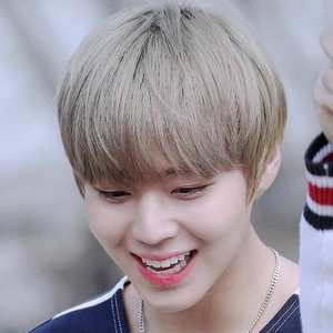 초코윙5 profile image