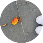 뭐다냐 profile image